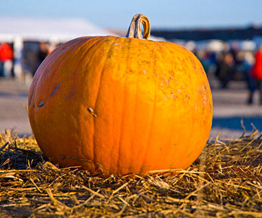 Skördefest